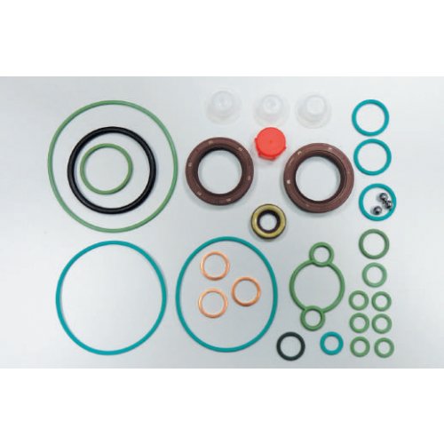 Repair Kit C R Pump Cp3 for MAN 51111037738 Diesel Spare Parts