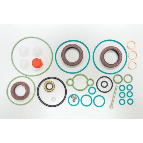 Repair Kit C/R Pump Cp3 euro diesel