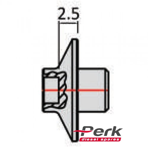 diesel spare P2-05019 2433124037 - 2433124380